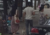 組圖：天天秀恩愛(ài)！范冰冰李晨甜蜜遛狗引圍觀