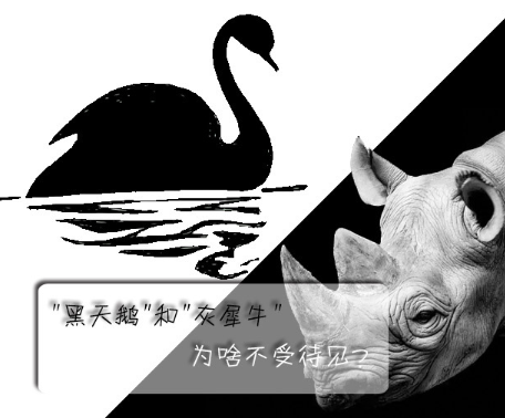 "黑天鵝"和"灰犀牛"為啥不受待見(jiàn)？