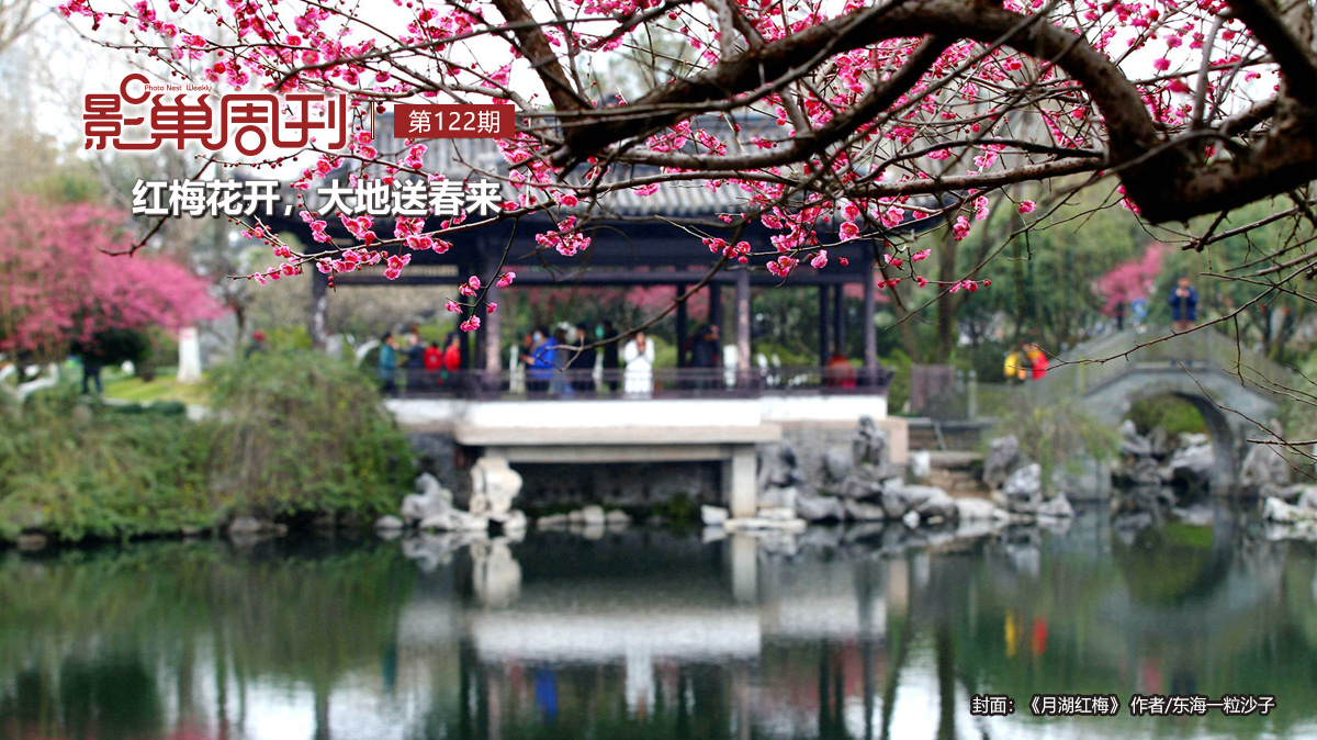【影巢周刊】紅梅花開，大地送春來(lái)