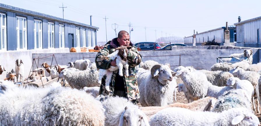 易地搬遷讓村民“住得好、能致富”