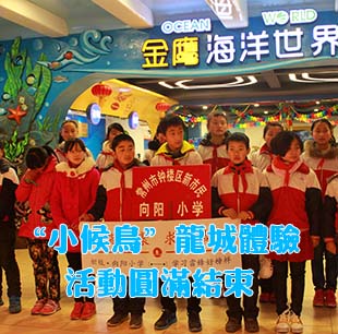 第52個(gè)學(xué)雷鋒日 “小候鳥”龍城體驗(yàn)活動圓滿結(jié)束