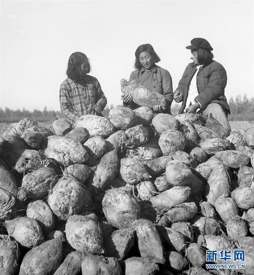 （圖文互動）（2）為了“中國號”巨輪揚(yáng)帆遠(yuǎn)航——中國共產(chǎn)黨領(lǐng)導(dǎo)下的人民軍隊(duì)忠于祖國、服務(wù)人民啟示錄