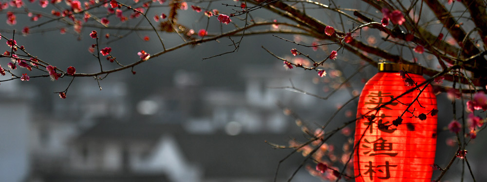 春來花開，綻放正當(dāng)時(shí)