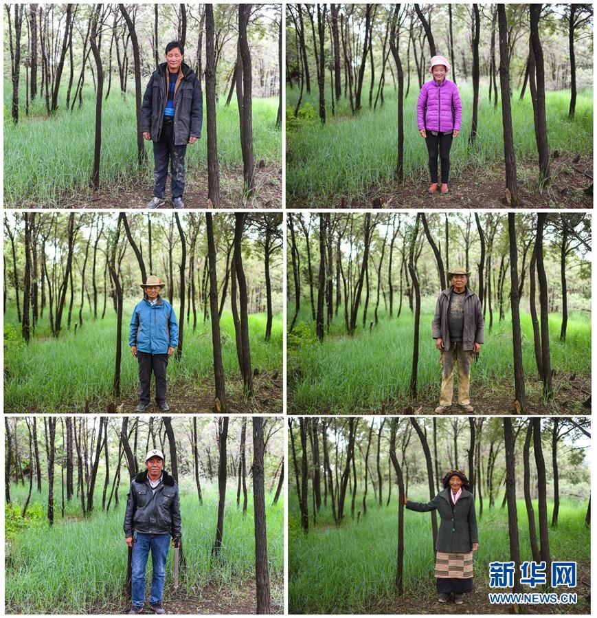 （十九大·讀報告 話民生）（9）加快生態(tài)文明體制改革，建設(shè)美麗中國
