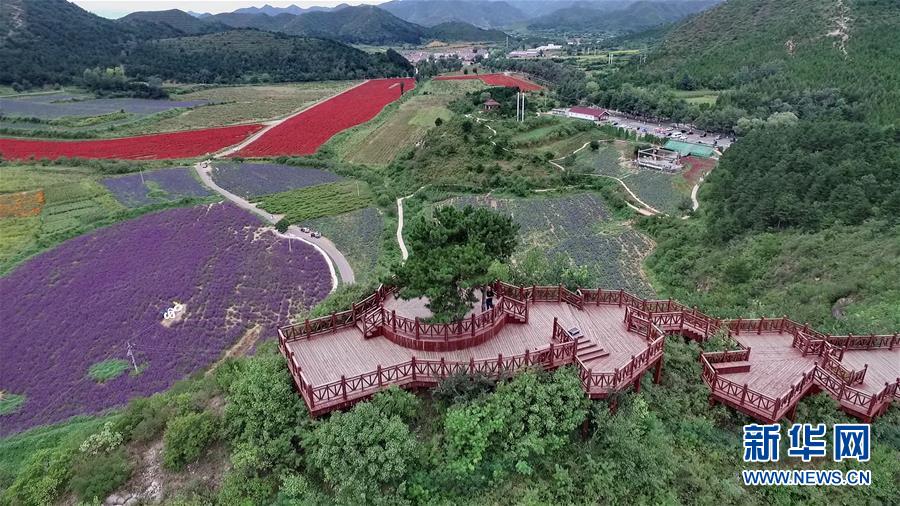 （十九大·讀報告 話民生）（10）加快生態(tài)文明體制改革，建設(shè)美麗中國