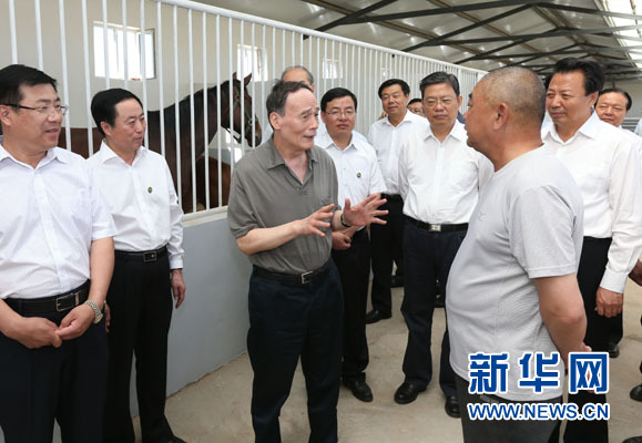 這是7月3日，王岐山在錫林浩特市義合良種馬繁育基地考察。新華社記者 龐興雷 攝