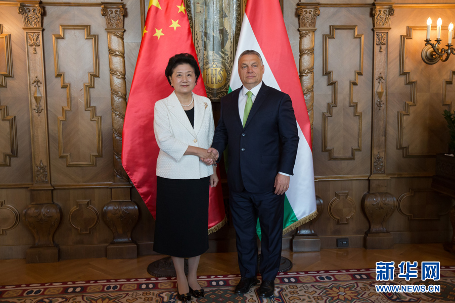  6月21日，國務(wù)院副總理劉延?xùn)|（左）在匈牙利布達佩斯國會大廈會見匈牙利總理歐爾班。 新華社發(fā)（弗爾季·奧蒂洛攝）