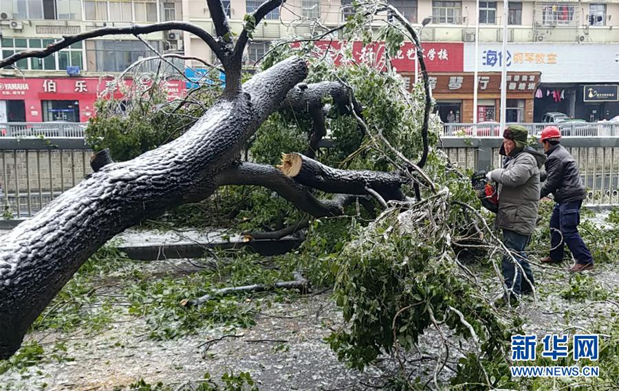 （新華全媒頭條）（7）雨雪冰凍中，他們奮力前行——基層黨員干群抗擊冰雪災害紀實