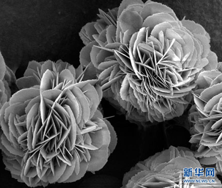 （新時(shí)代奮斗者·圖文互動）（3）“美麗發(fā)現(xiàn)”之路——記青年化學(xué)家戈鈞