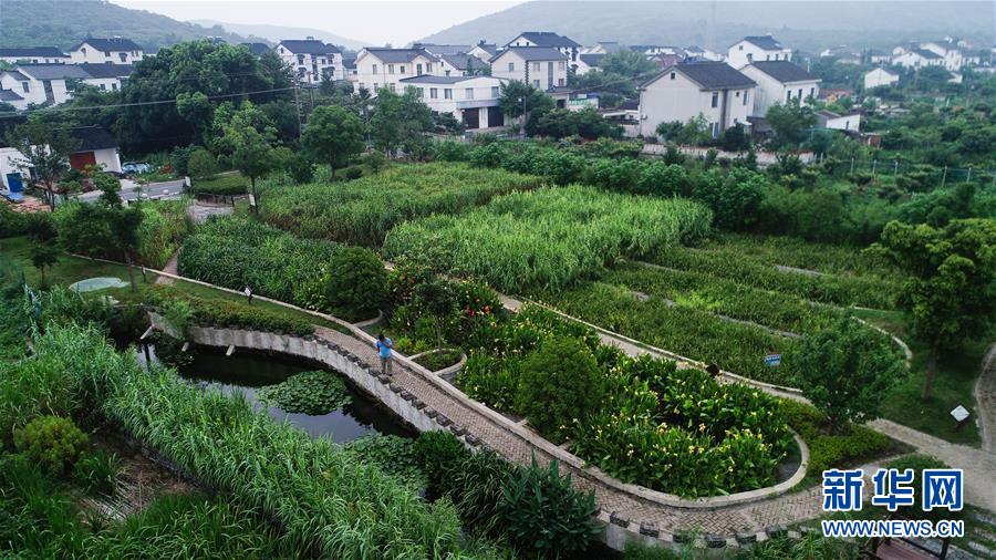 （在習近平新時代中國特色社會主義思想指引下——新時代新作為新篇章·圖文互動）（1）稀奇！治污濕地成了休閑公園——江蘇蘇州全域推進農村生活污水治理