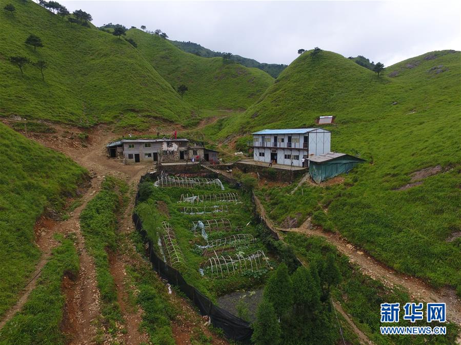 （新華全媒頭條·圖文互動(dòng)）（3）一個(gè)人，一座山——劉真茂的生命守望