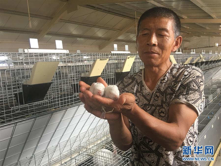 (新華全媒頭條·在習(xí)近平新時(shí)代中國(guó)特色社會(huì)主義思想指引下——新時(shí)代新作為新篇章·圖文互動(dòng))(10)綠富同興畫(huà)卷在沙海中鋪展——庫(kù)布其沙漠生態(tài)治理紀(jì)實(shí)