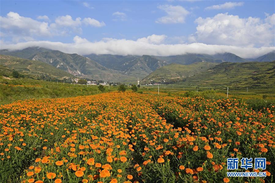 （新華全媒頭條·圖文互動(dòng)）（8）中國扶貧的西海固答卷——寧夏奮進(jìn)60年巡禮之脫貧攻堅(jiān)篇