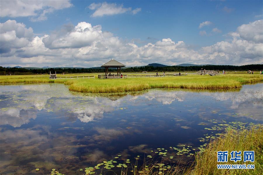 （新華全媒頭條·圖文互動(dòng)）（2）那一抹綠色，走進(jìn)越來(lái)越多人心里——河北塞罕壩續(xù)寫新時(shí)代綠色傳奇