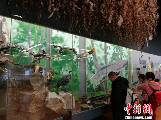 圖為展覽現(xiàn)場?！『h(yuǎn)航 攝