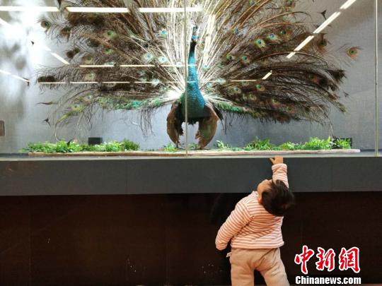 圖為展覽現(xiàn)場?！『h(yuǎn)航 攝