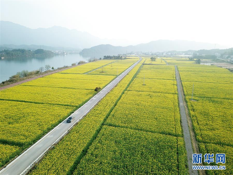 （新華全媒頭條·兩會精神看落實·圖文互動）（4）保持戰(zhàn)略定力 跨越重要關口——落實兩會精神加強生態(tài)文明建設述評