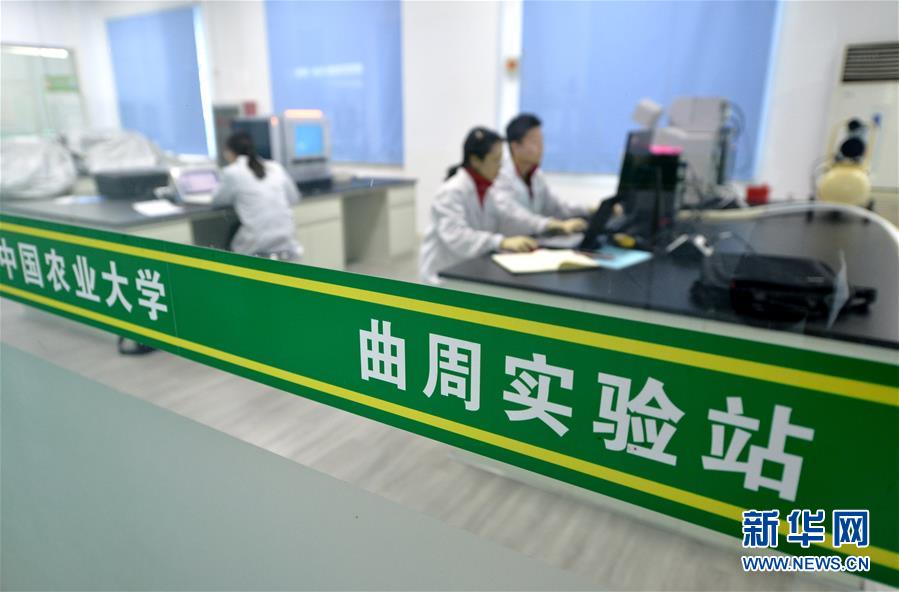 （愛國情 奮斗者·圖文互動）（3） “解民生之多艱，育天下之英才”——中國農(nóng)大師生扎根田野書寫奉獻之歌