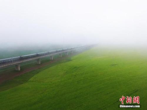資料圖：動車組穿越雨霧中的油菜花海宛若穿越時空。 楊艷敏 攝