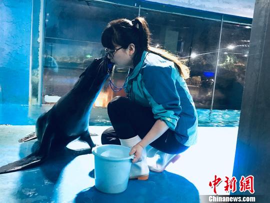 于雅麗與海獅親密瞬間?！“瑧c龍 攝
