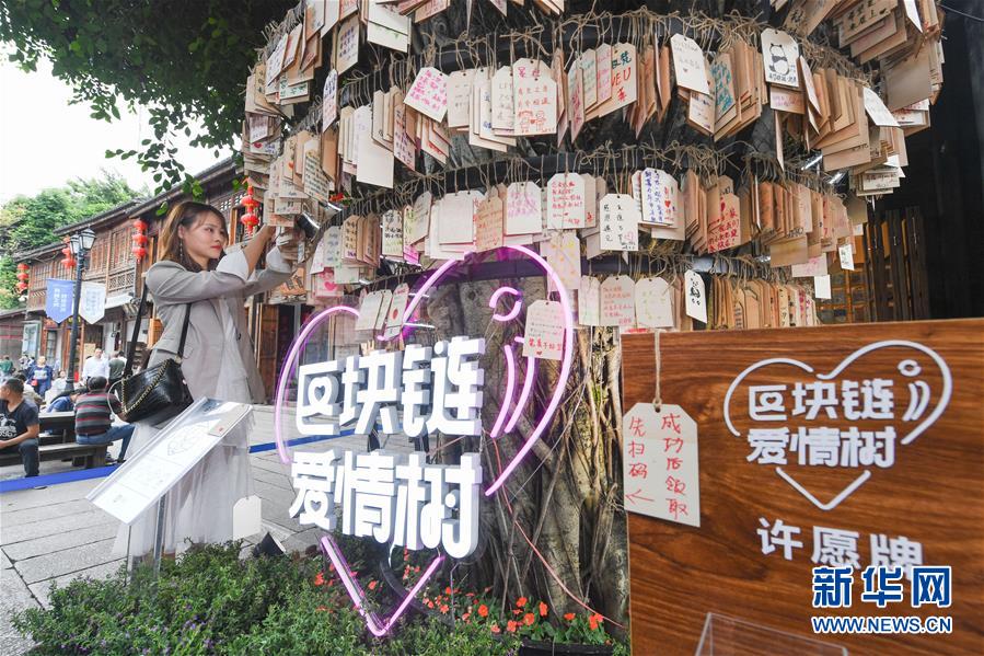 （新華全媒頭條·圖文互動(dòng)）（9）從“數(shù)字中國”看中國發(fā)展新信號(hào)、新亮點(diǎn)、新趨勢(shì)