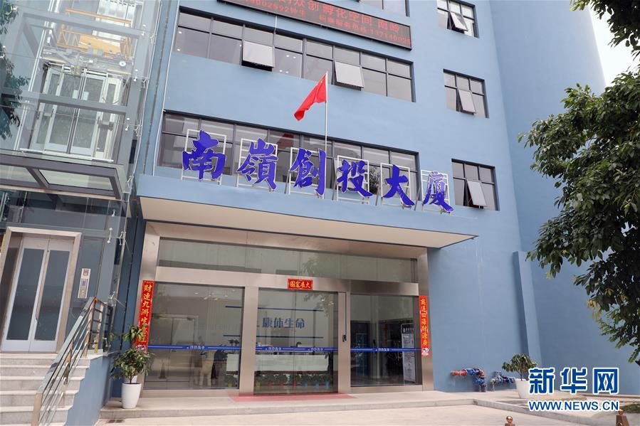 （在習近平新時代中國特色社會主義思想指引下——新時代新作為新篇章·圖文互動）（4）從種地到“種”高科技產業(yè)——“改革村”的新思維