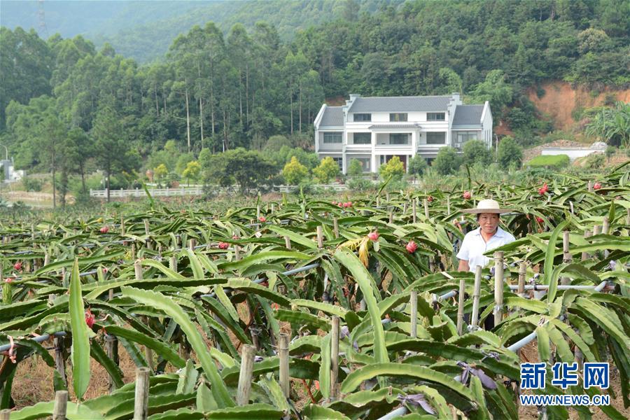 （在習(xí)近平新時(shí)代中國(guó)特色社會(huì)主義思想指引下——新時(shí)代新作為新篇章·總書(shū)記關(guān)心的百姓身邊事·圖文互動(dòng)）（6）大污染變身“大寶藏”：治理畜禽糞污，他們這樣干！