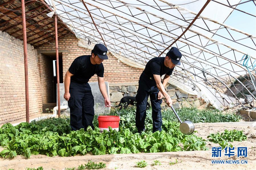 （愛國情 奮斗者·圖文互動(dòng)）（5）印刻在戈壁上的名字