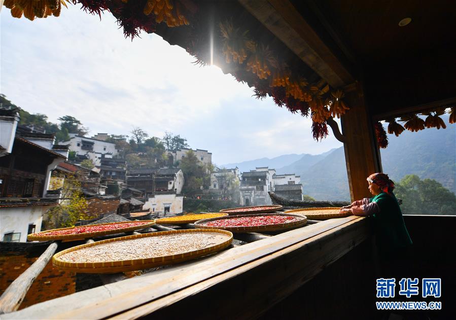 （圖文互動）（5）鄉(xiāng)村攝影師、鄉(xiāng)村“模特”、民宿店主——鄉(xiāng)村旅游推動婺源農(nóng)民生活方式發(fā)生新變化
