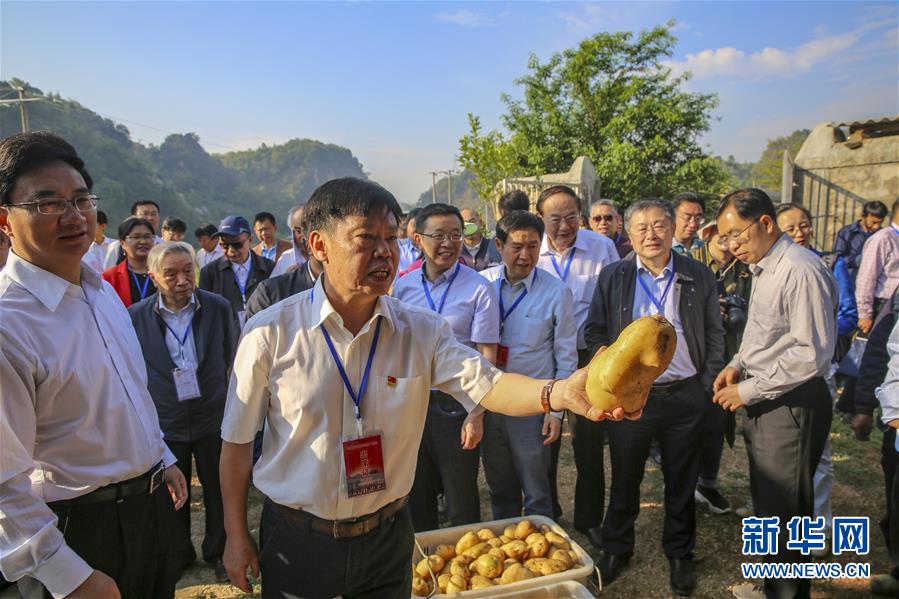 （新華全媒頭條·時(shí)代先鋒·圖文互動）（5）“要把論文寫在大地上”——記“農(nóng)民院士”朱有勇