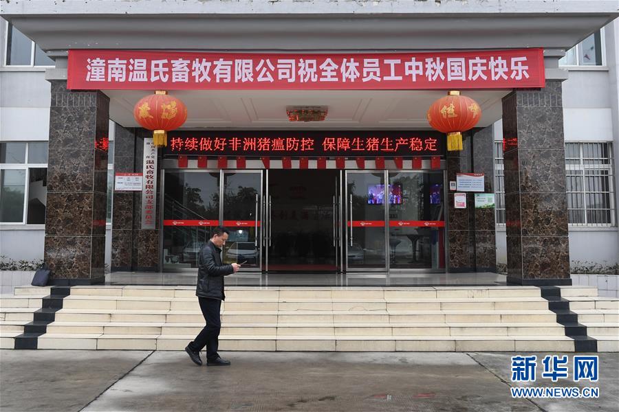 （在習(xí)近平新時(shí)代中國(guó)特色社會(huì)主義思想指引下——新時(shí)代新作為新篇章·總書(shū)記關(guān)切高質(zhì)量發(fā)展·圖文互動(dòng)）（1）穩(wěn)住“一頭豬”、供好“一袋米”、配好“一籃菜