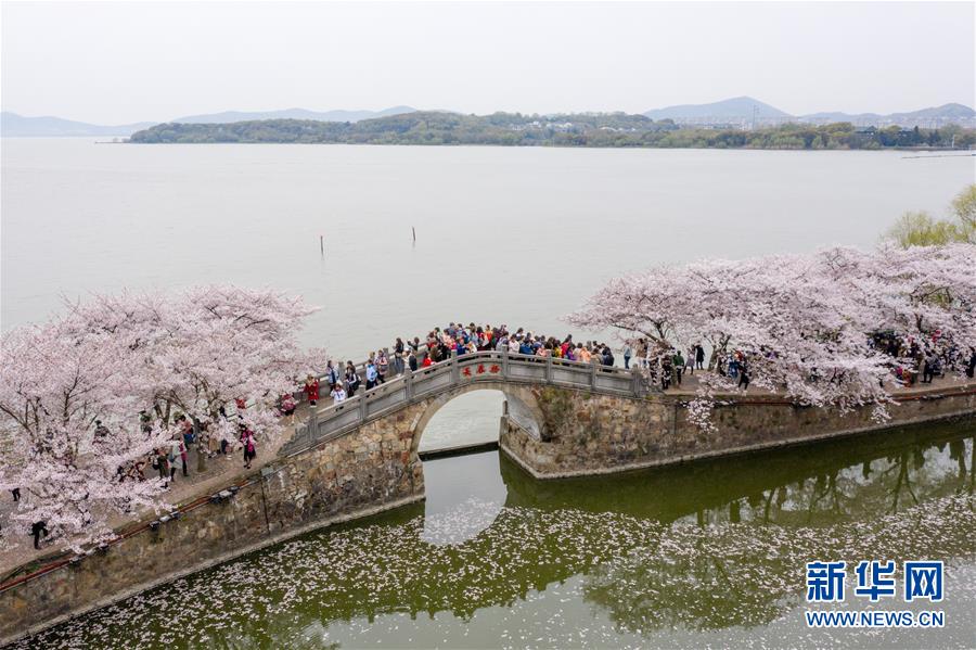 （新華全媒頭條·圖文互動(dòng)）（8）大湖見證——長三角三大淡水湖綠色發(fā)展之路