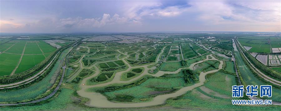 （新華全媒頭條·圖文互動(dòng)）（11）大湖見證——長三角三大淡水湖綠色發(fā)展之路