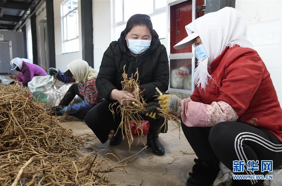 （新華全媒頭條·圖文互動）（2）特殊時期，他們這樣履職——全國人大代表這個春天在行動