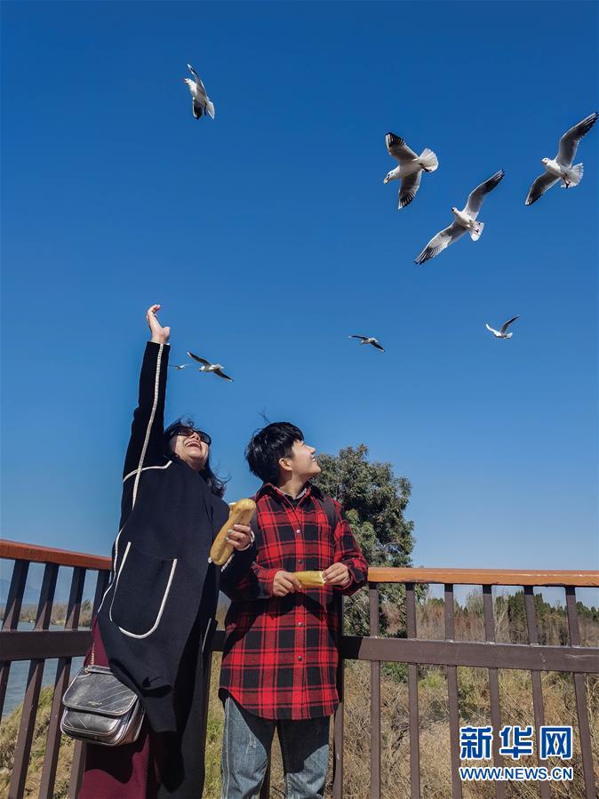 （一線抗疫群英譜·圖文互動）（1）大學生志愿者譚藝西：在武漢，我和媽媽共戰(zhàn)“疫”