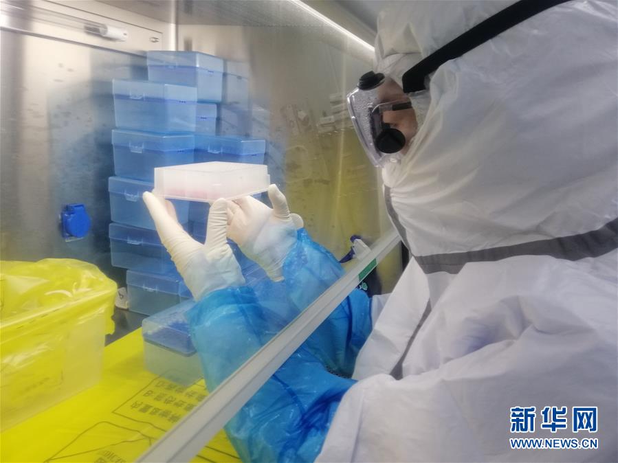 （一線抗疫群英譜·圖文互動）（2）“95后”大學生郝鶯歌：退掉車票，她選擇直面病毒