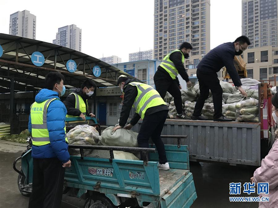 （一線抗疫群英譜·圖文互動）（2）“面對疫情，我們能做點啥？”——“蘿卜哥”朱海洋的擔當