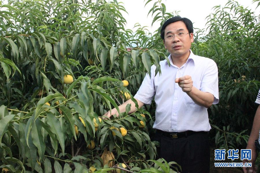 （圖文互動）（2）“為脫貧而來，為脫貧而去”——追記湖南炎陵縣委原書記黃詩燕 