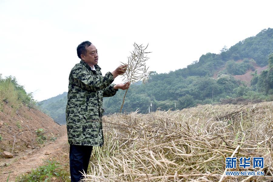 （代表委員履職·圖文互動）（1）“我是農(nóng)民代表，始終關(guān)注農(nóng)村”——全國人大代表沈昌健的履職故事