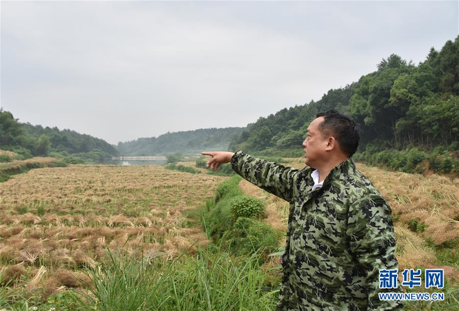 （代表委員履職·圖文互動）（2）“我是農(nóng)民代表，始終關(guān)注農(nóng)村”——全國人大代表沈昌健的履職故事