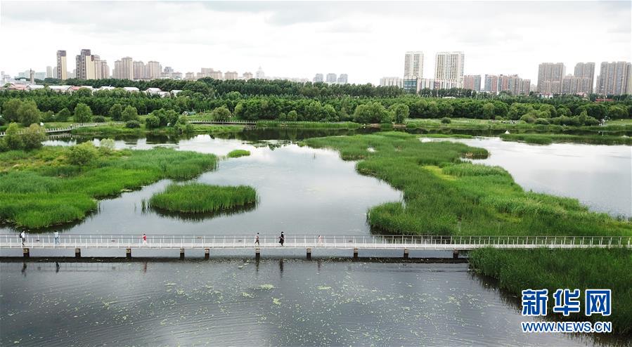 （走向我們的小康生活·圖文互動）（1）水清、地綠、空氣新——最北省份黑龍江繪就生態(tài)治理新畫卷