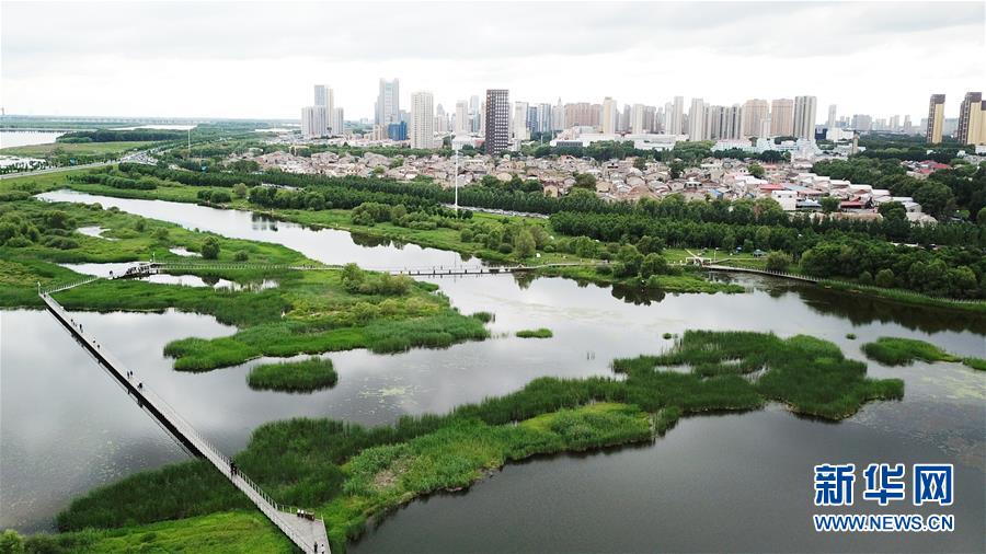 （走向我們的小康生活·圖文互動）（2）水清、地綠、空氣新——最北省份黑龍江繪就生態(tài)治理新畫卷