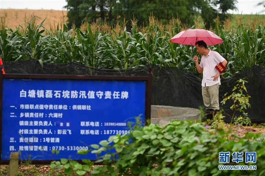 （防汛抗洪·圖文互動(dòng)）（1）“險(xiǎn)情不可怕，可怕的是不能及時(shí)發(fā)現(xiàn)險(xiǎn)情”——洞庭湖巡堤查險(xiǎn)現(xiàn)場直擊