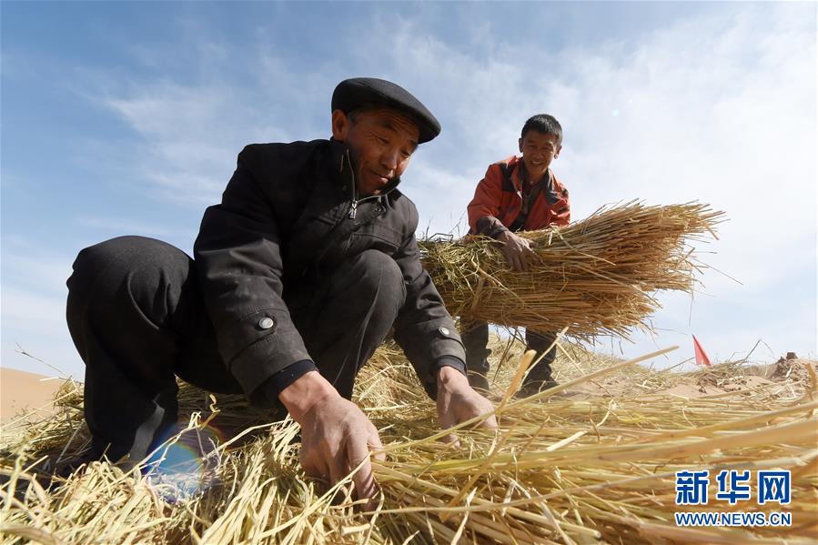 （在習(xí)近平新時代中國特色社會主義思想指引下——新時代新作為新篇章·習(xí)近平總書記關(guān)切事·圖文互動）（5）綠色映底蘊，山水見初心——生態(tài)優(yōu)先、綠色發(fā)展持續(xù)造福群眾美好生活
