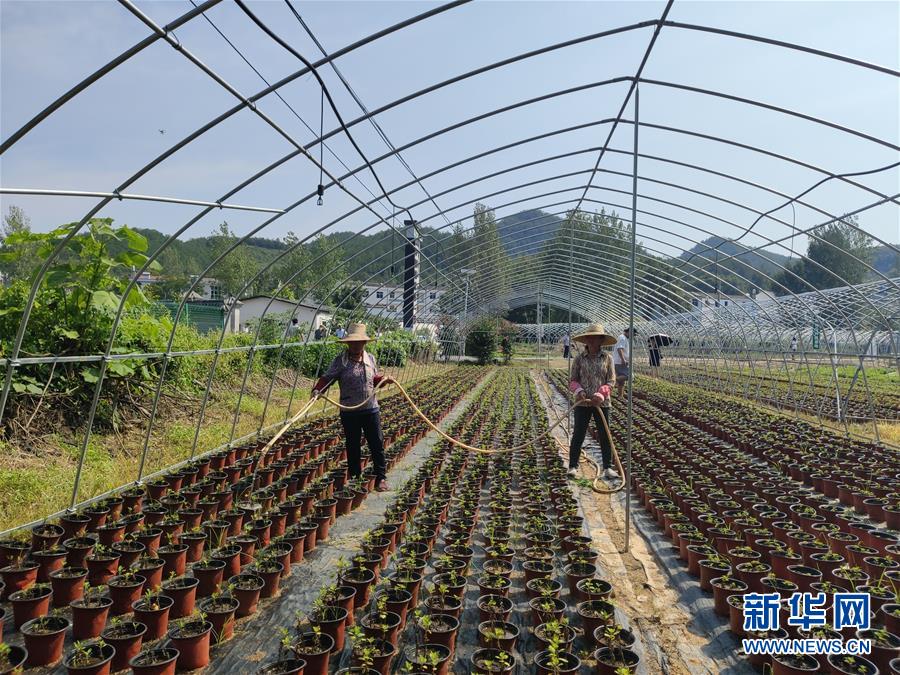 （決戰(zhàn)決勝脫貧攻堅·圖文互動）（3）安居樂業(yè)并重，搬遷脫貧同步——湖北88萬搬遷群眾脫貧觀察 