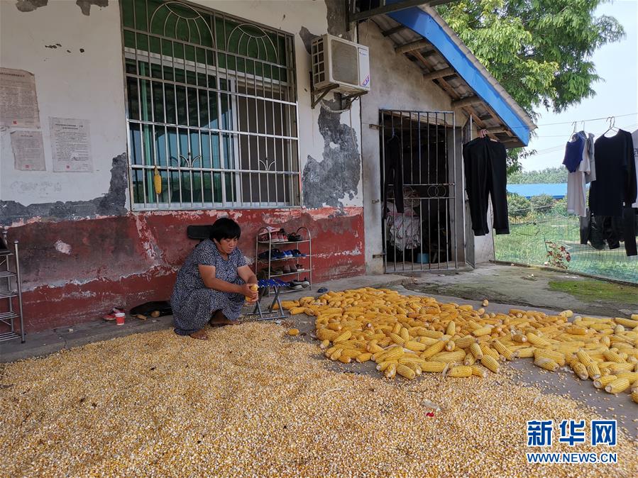 （新華視點(diǎn)·聚焦餐桌外的浪費(fèi)·圖文互動(dòng)）（3）農(nóng)戶儲(chǔ)糧損失達(dá)8%！設(shè)施普遍簡(jiǎn)陋，蟲害霉變堪憂