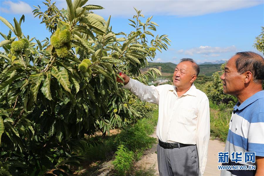 （新華全媒頭條·走向我們的小康生活·圖文互動）（11）長城腳下，小康村串成“珍珠鏈”