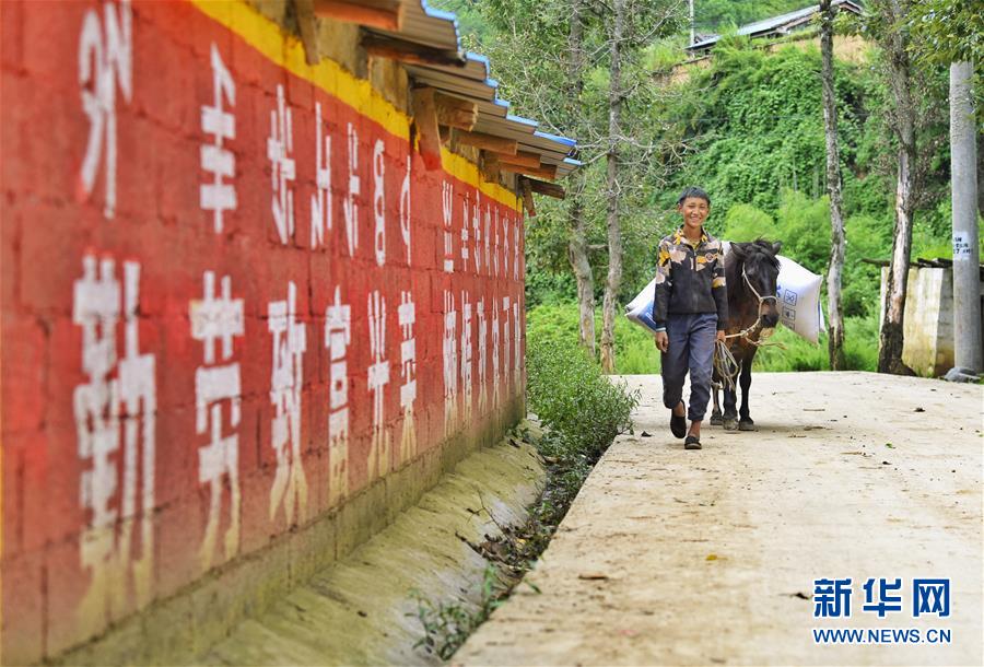 （新華全媒頭條·決戰(zhàn)決勝脫貧攻堅(jiān)·督戰(zhàn)未摘帽貧困縣·圖文互動(dòng)）（6）苦蕎花開(kāi)大涼山——四川7個(gè)未摘帽縣脫貧攻堅(jiān)一線(xiàn)觀察
