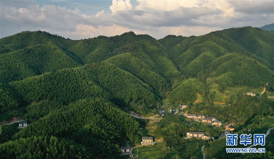 （新華全媒頭條·走向我們的小康生活·圖文互動）（2）神山村“神奇”何在？——井岡山深處覓答案