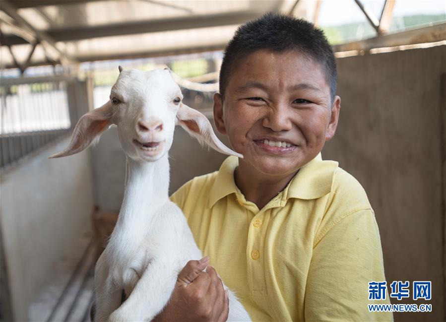 （新華全媒頭條·走向我們的小康生活·圖文互動）（5）特殊之年，荊楚大地書寫不平凡的答卷